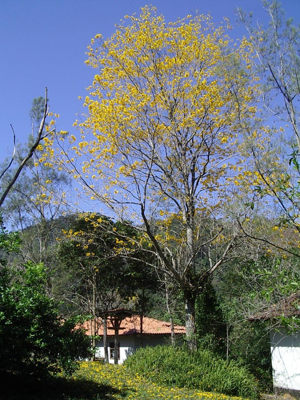 Fazenda Tapinua Villa Silva Jardim Exterior photo