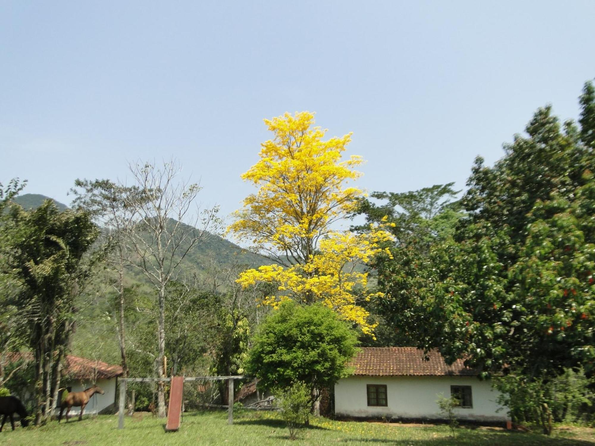 Fazenda Tapinua Villa Silva Jardim Exterior photo